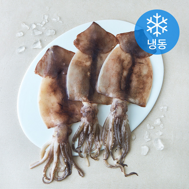 비비수산 손질 간편한 오징어 (냉동), 1개, 480g
