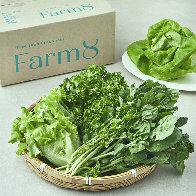 팜에이트 무농약 인증 유러피안 루꼴라 믹스 샐러드, 460g, 1개입, 1개