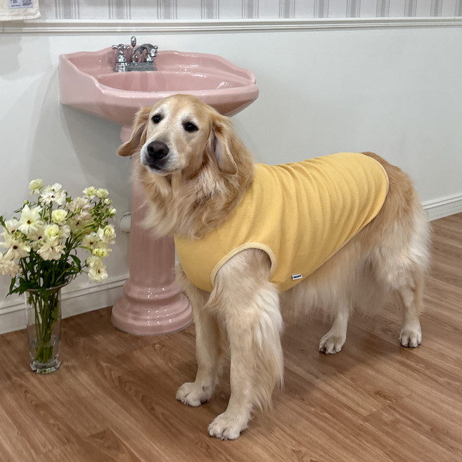 바크독 강아지 와플 투톤 민소매, 와플옐로우, 1개