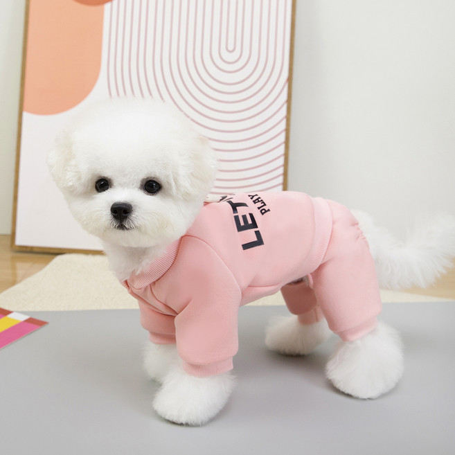 파스텔펫 반려동물 렛츠고 트레이닝 올인원, 핑크, 1개