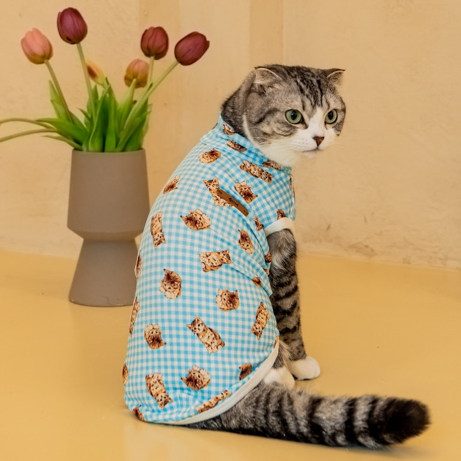 캐츠피아 고양이 테비 민소매 티셔츠 CAXA-TS9511, 옐로우, 1개