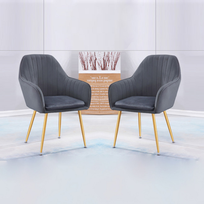 노아가구 루비 골드 체어 2p, 그레이, 2개