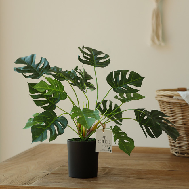 BeautifulDecoSense 人造龜背芋盆栽, 1個, 綠色
