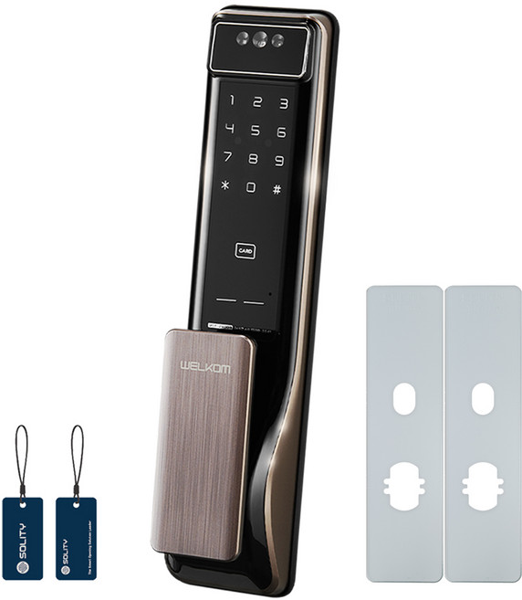 SOLITY Wellcom 臉部辨識推拉式數位含把手門鎖 WSP-2900A + 輔助板 2片 + 卡片鑰匙 2個套組, 顧客自行安裝