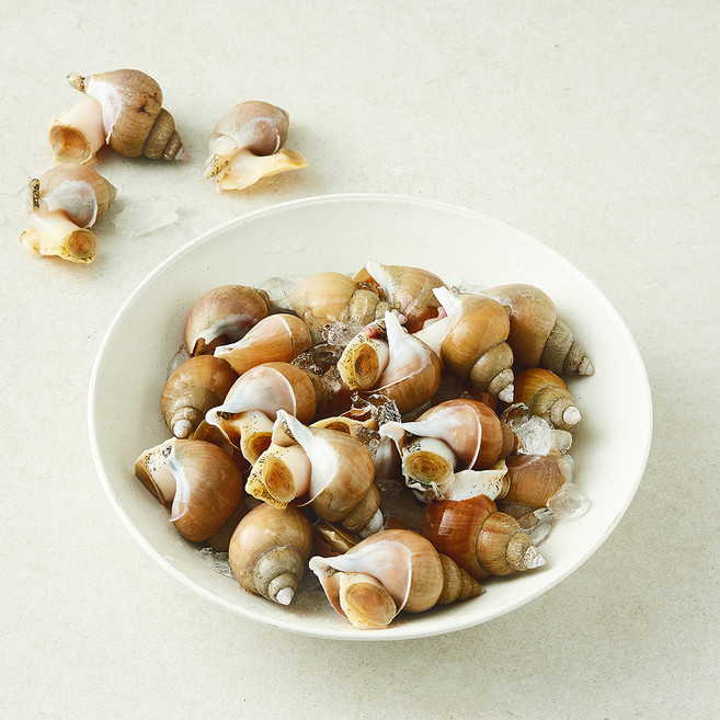 이프로마켓 동해안 당일바리 백골뱅이 생물 원물중량 1kg (냉장), 800g(소), 1개