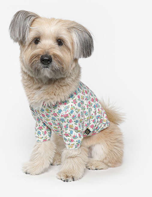 투스투스 강아지 잔꽃 프릴 티셔츠, 아이보리, 1개