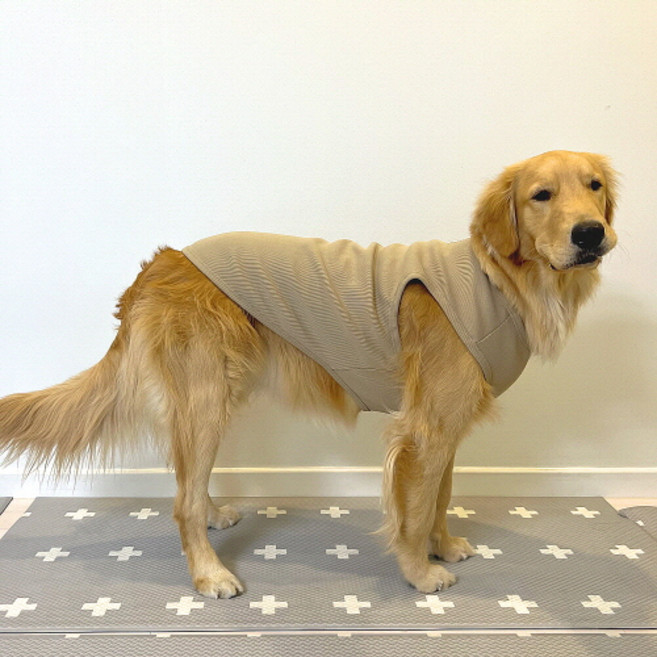 도기스타 중대형견 쫀쫀 민소매 티셔츠, 베이지, 1개