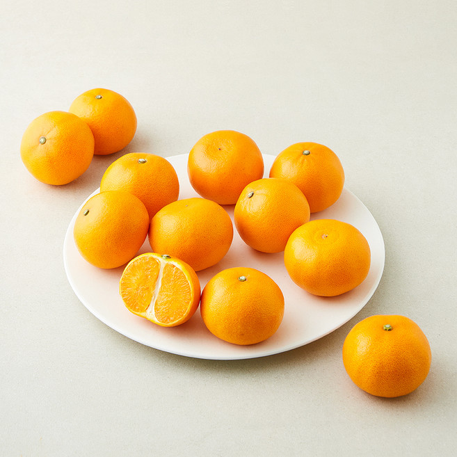 새콤달콤 천혜향, 1개, 2kg(소과, 10~13입)