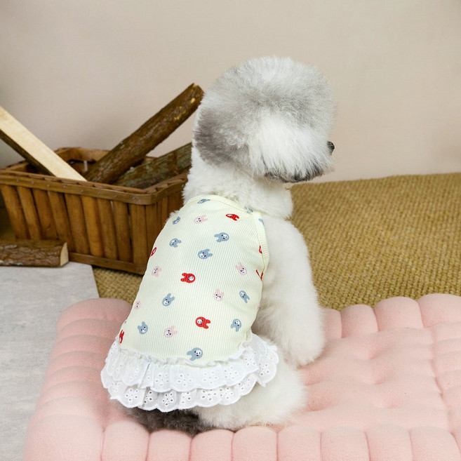 파스텔펫 반려동물 래빗 레이스 원피스, 옐로우, 1개