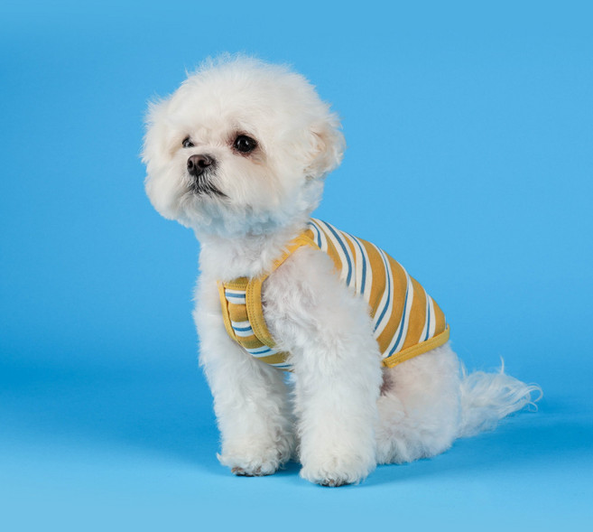 플로트 강아지 컵케이크 쿨링 나시, 옐로우, 1개