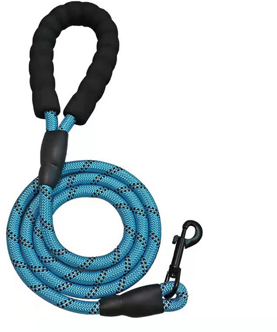 빈앤코 중대형견 스트롱 리드줄, 스카이, 1개