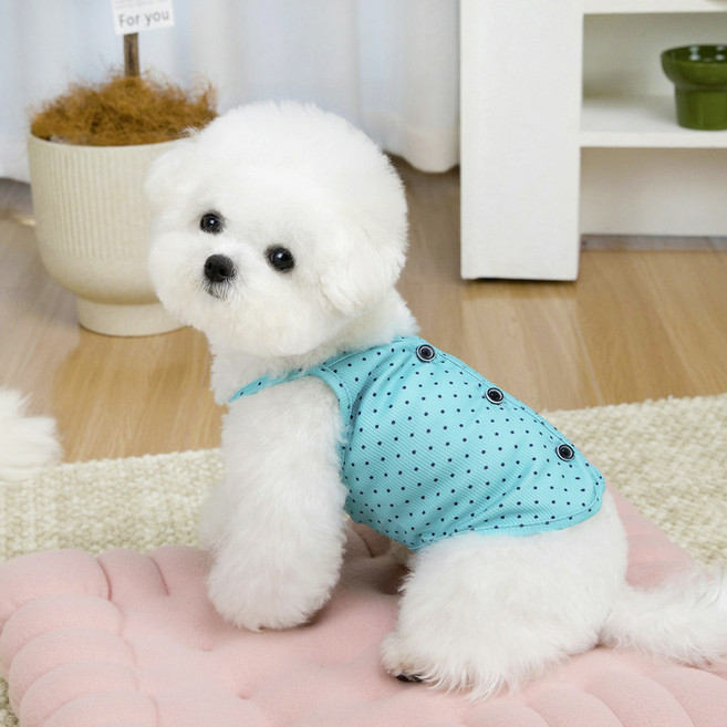 파스텔펫 반려동물 컬러 미니도트 조끼, 민트, 1개