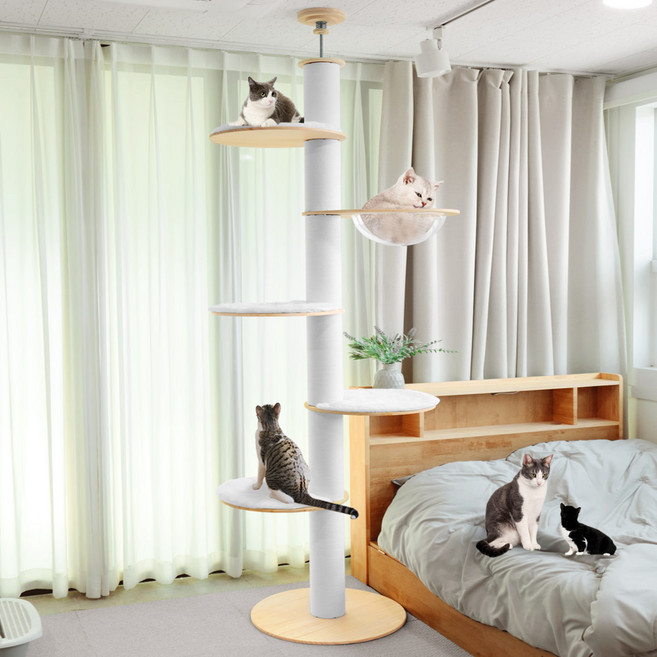 딩동펫 고양이 수플레 5단 스크래쳐 캣폴, 혼합색상, 1개