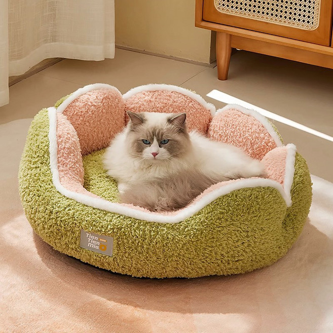 파스텔펫 반려동물 카투스 라인 극세사쿠션, 그린, 1개