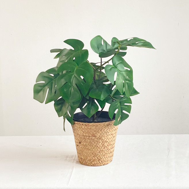 fresh garden 人造龜背芋盆栽, 1個, 混合色