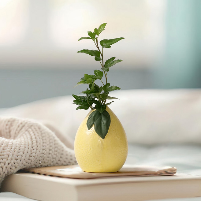 morningscent 과일 세라믹 수경화병, 레몬