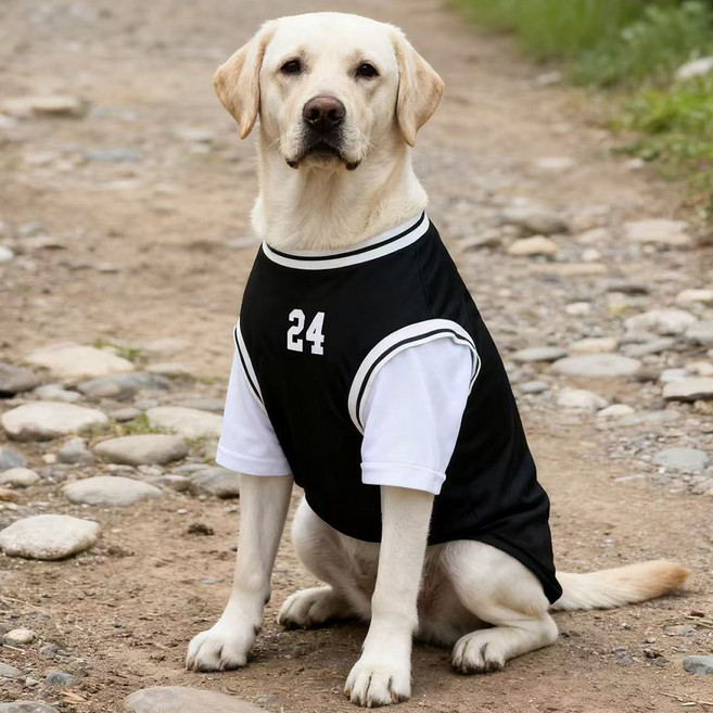 PASTEL PET 狗狗中大型犬運動風層次T恤