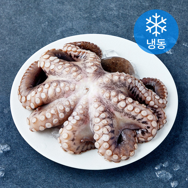 비비수산 깨끗하게 손질한 문어 한마리 (냉동), 1개, 600g