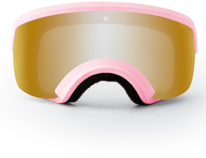 견체공학 강아지 고글 장두종용 견글라스, 펜지핑크 + 펜지골드, 1개