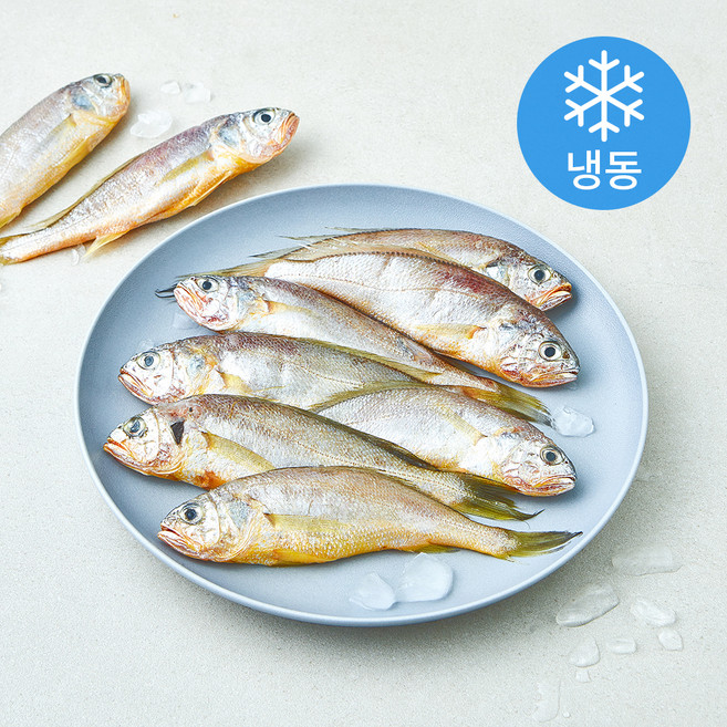 일품 법성포 이력추적 참조기 (냉동), 1개, 500g(소/10마리)