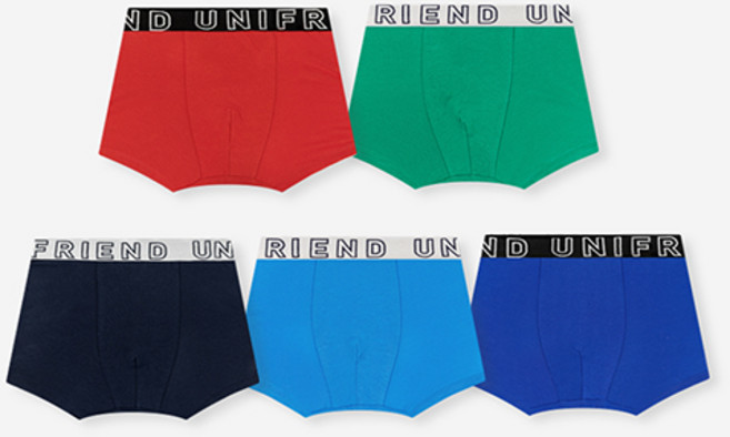 unifriend 男童用 Lovey 三角褲 5件組