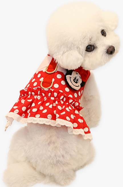 이츠독 강아지 디즈니 프렌즈 하네스, 미니, 1개