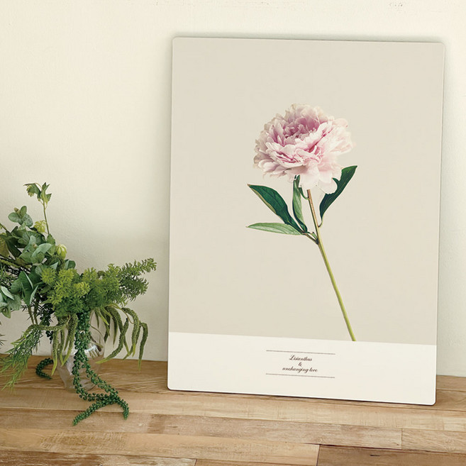 오홀리브 다리 손잡이 액자테이블, 23 리시안셔스