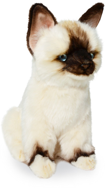 한사토이 봉제인형 8230 랙돌아기고양이 26cm L, 혼합색상, 25cm, 1개