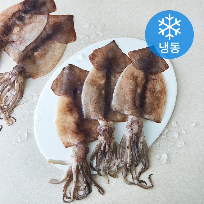 비비수산 손질 간편한 오징어 (냉동), 1개, 720g