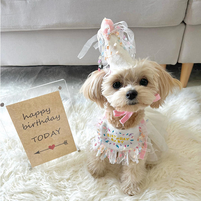 REDPUPPY 寵物生日派對尖頂帽組, 混合色, 1個