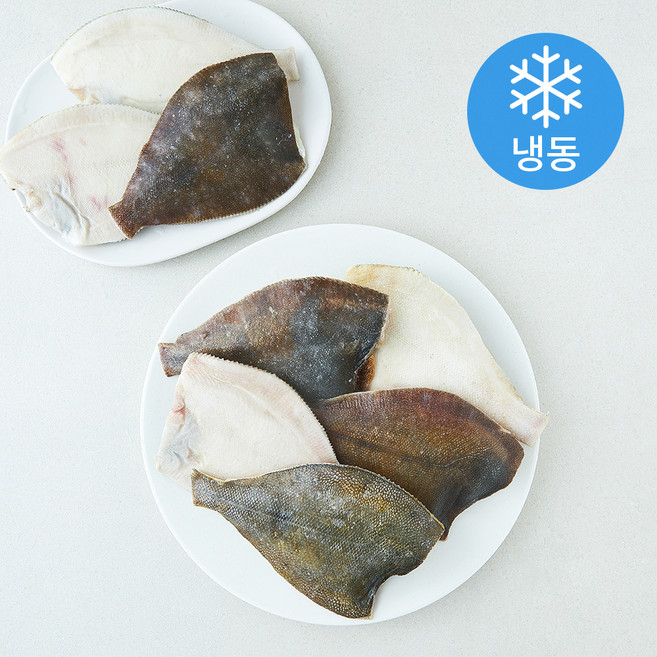 신선해어 손질 가자미 (냉동), 1개, 4.5kg(100~150g)