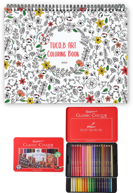 아트 컬러링북 플라워 스프링 랜덤발송 + 조르조네 삼각 유성색연필 48색, 투코비