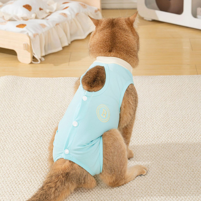 파스텔펫 반려동물 컬러 소프트 중성화복, 민트, 1개