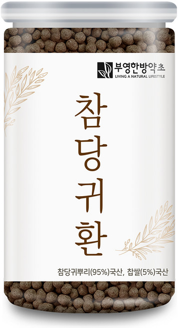 부영한방약초 국산 참당귀환, 1개, 300g