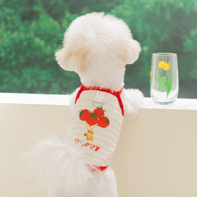 아티펫 반려동물 얇고 통기성 퍼피 견인 조끼, 토마토, 1개