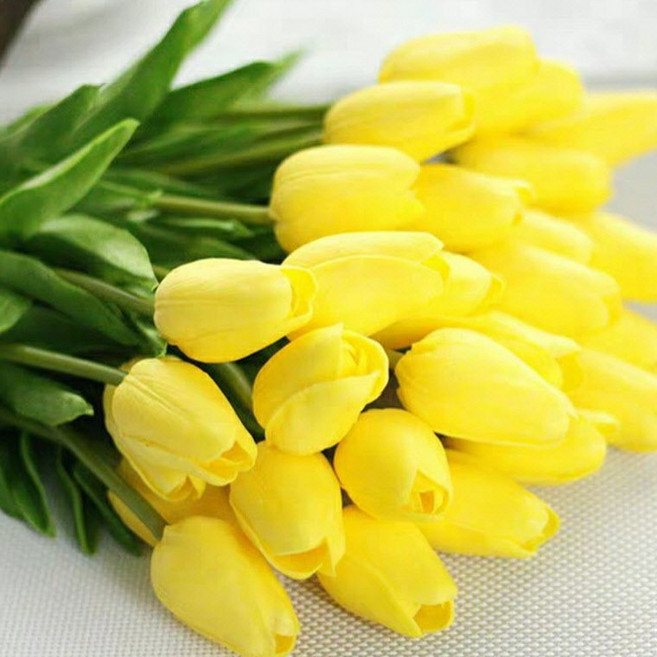 조화 튤립, 옐로우, 5개