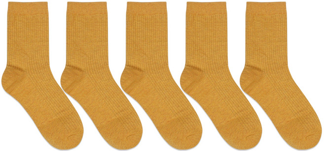 박군 남성용 MJ 골지 중목 패션 양말 5족 세트