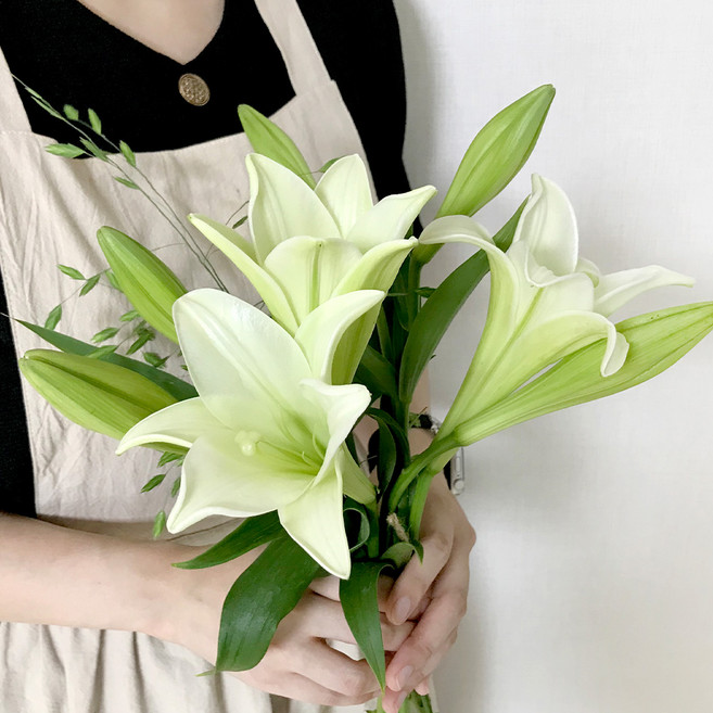 코코도르팜 생화 백합 3대 + 보리사초 3대 세트, 화이트, 그린