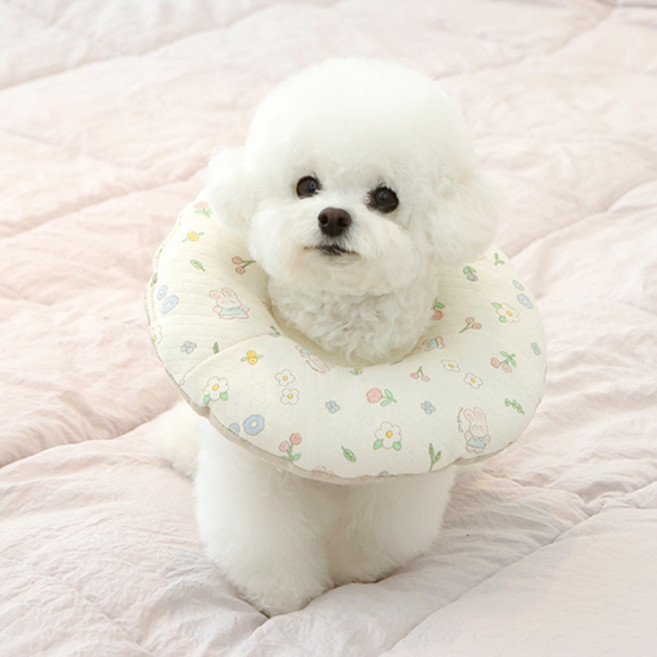 이츠독 강아지 오가닉 일체형 누빔 넥카라, 바니가든, 1개