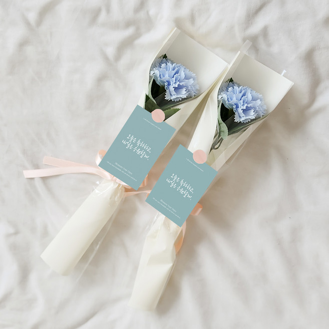 아스파시아 메시지 2p + 조화 플르 카네이션 한송이 비누 꽃다발 2p 세트 오늘은 축하하고 내일은 응원할게, 스카이블루, 2개