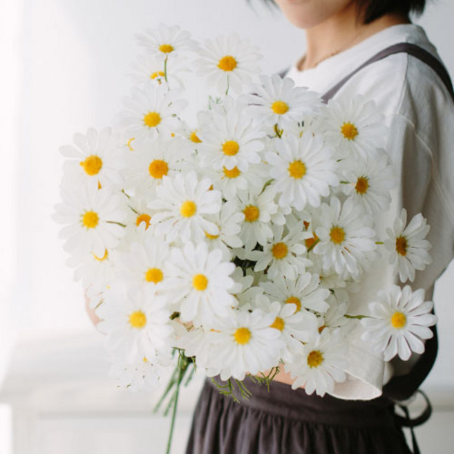 Minsung Company 仿真雛菊花 10入, 白色