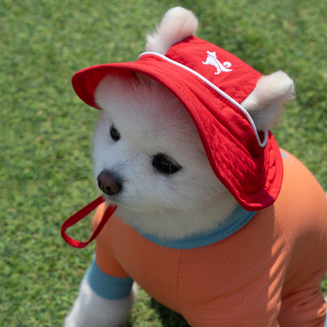 도그아이 강아지 아웃도어 캡, 1개, 레드