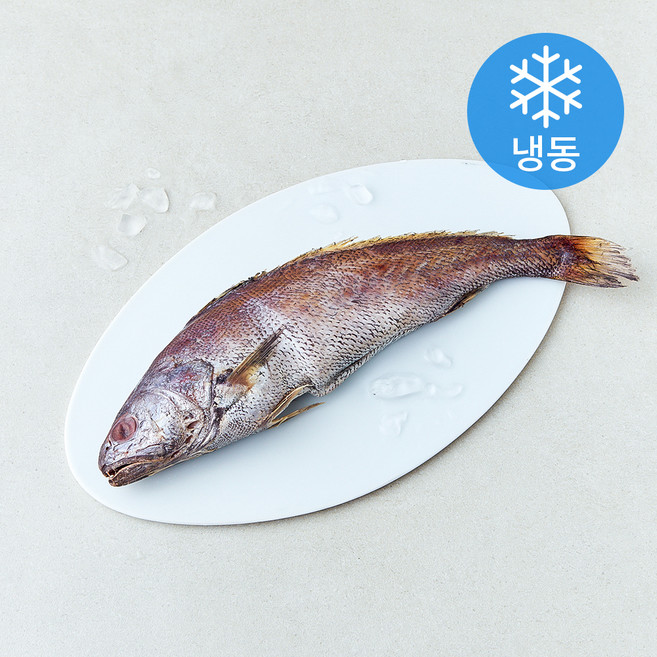 일품 국산 손질 참민어 (냉동), 1개, 300g