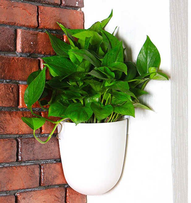 온업 코너링 벽걸이형 저면관수 화분, 화이트