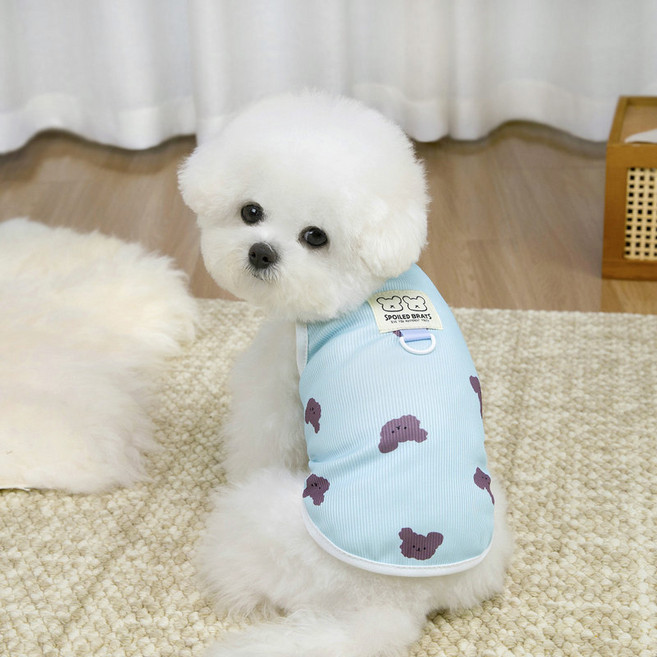 파스텔펫 반려동물 복실 곰돌이 티셔츠, 블루, 1개