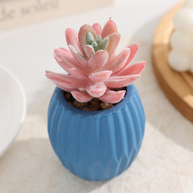 소울리치 예쁜 다육식물 조화 화분타입5, 스마일링 로터스 핑크, 1개