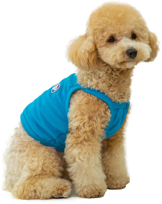 펫츠랜드 반려동물 와플 크롭 쿨링 나시티, BLUE, 1개