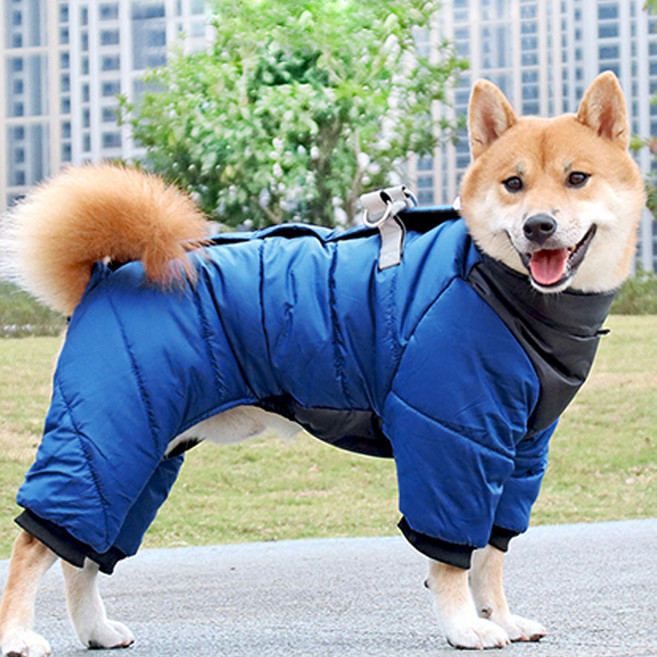 멍템 강아지 올인원 패딩, 블루, 1개
