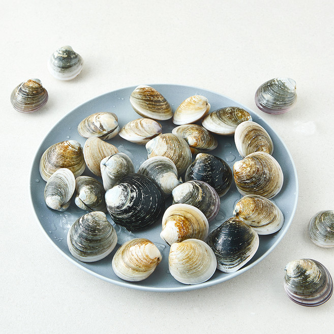 바다림 서해안 생물 모시조개 (냉장), 1개, 1kg