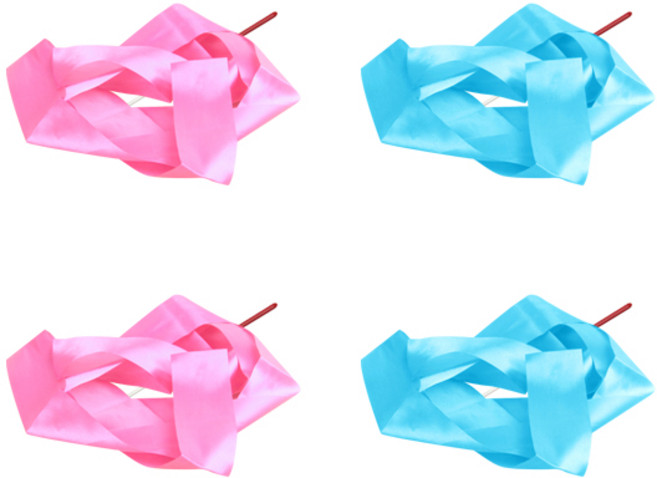 마켓감성 체조 리본 세트 핑크 + 블루, 2세트